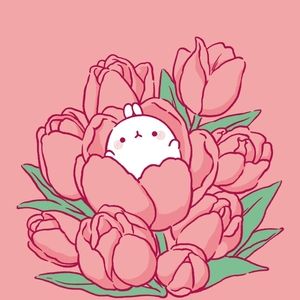 Meet your Posher, Bo